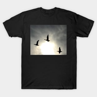 Flying Geese T-Shirt